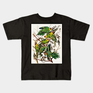 Bird of America  Bird, bird lover, america, beautiful  Public domain painting by John James Audubon Kids T-Shirt